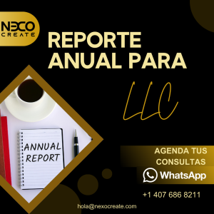 Reporte anual LLC