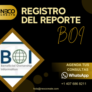 🔍 Servicio del Registro del Reporte BOI FinCEN